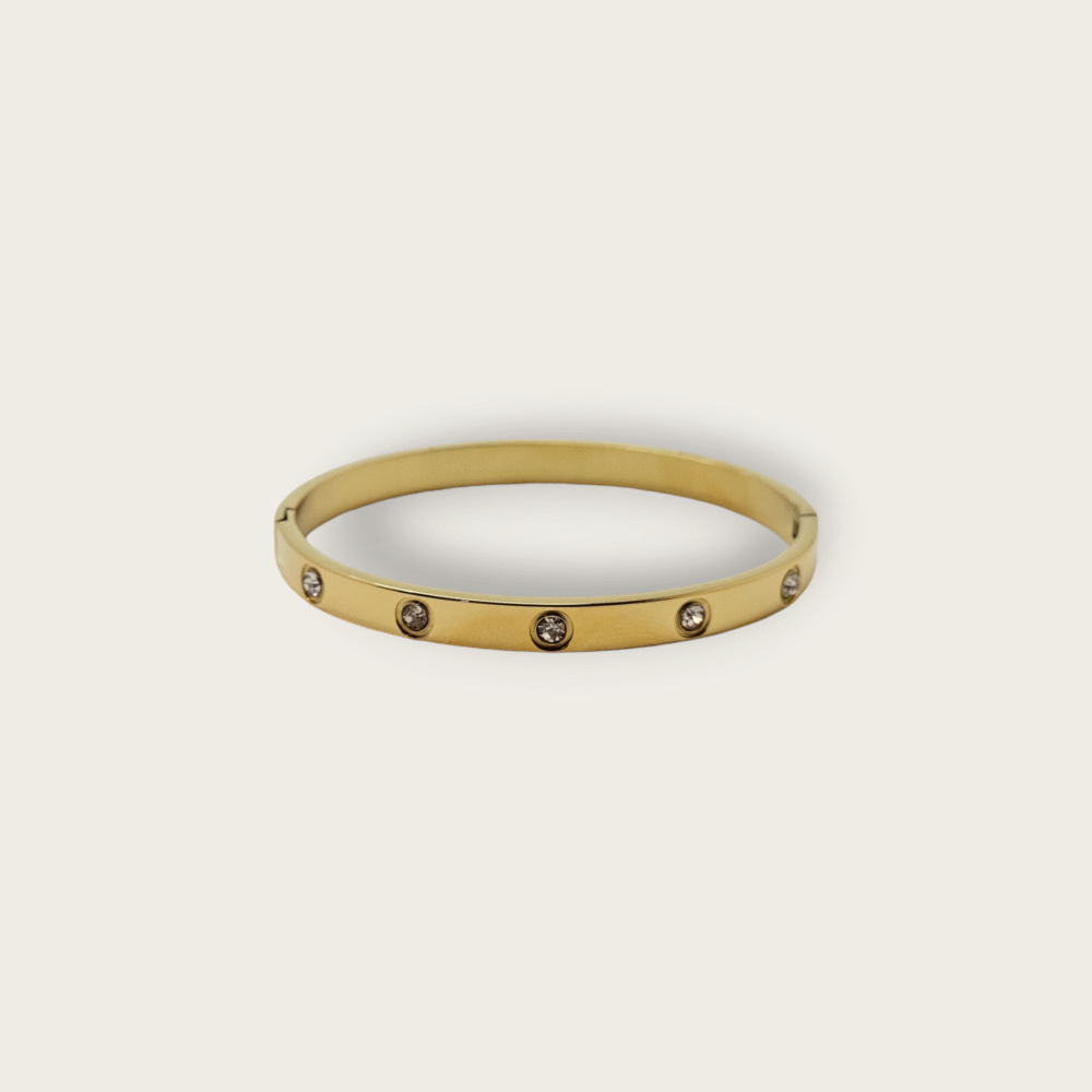 CD Bracelet